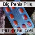 Big Penis Pills 06